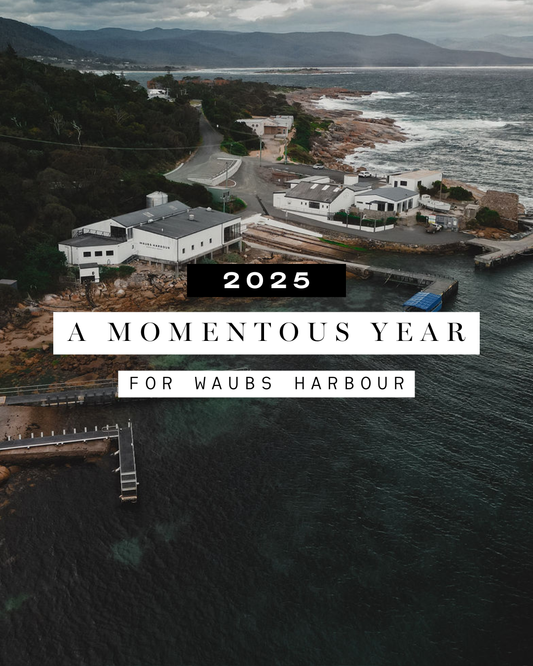 2025: A momentous year for Waubs Harbour