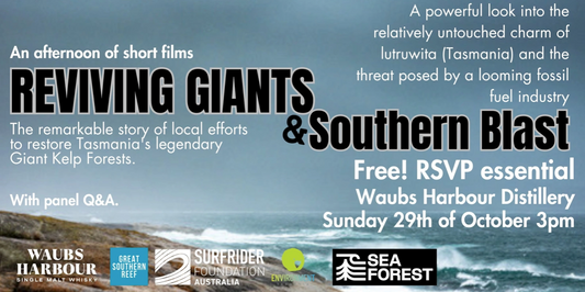 Short Film Screening at Waubs Harbour: 'Reviving Giants' by GSRF & 'Southern Blast' by Surfrider